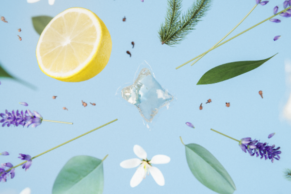 Dropps Scent Roundup!
