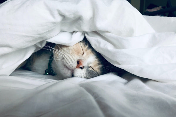 How To Wash a Comforter - A 9-Steps Guide